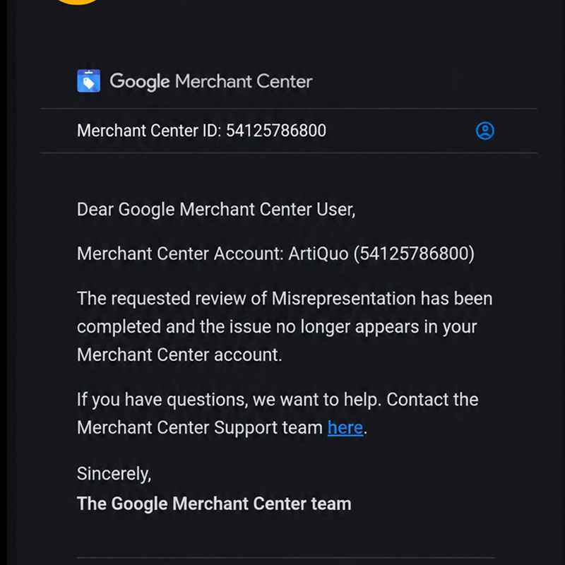 Google Merchant Center Misrepresentation Suspension